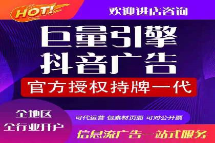 百度推广操作指南：案例解析